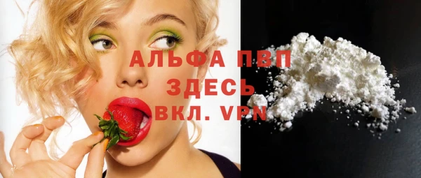spice Арсеньев