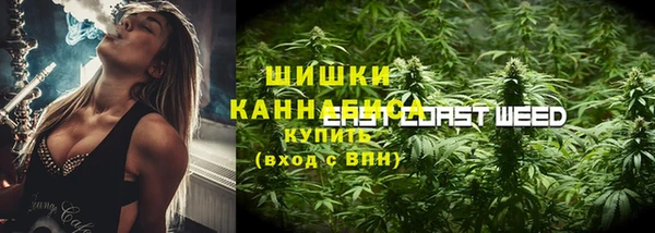 spice Арсеньев
