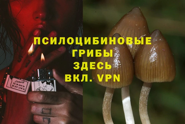 гидропоника Армянск