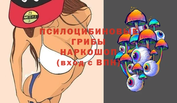 гидропоника Армянск