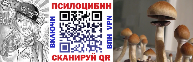 Псилоцибиновые грибы Psilocybe  МЕГА сайт  Крымск 